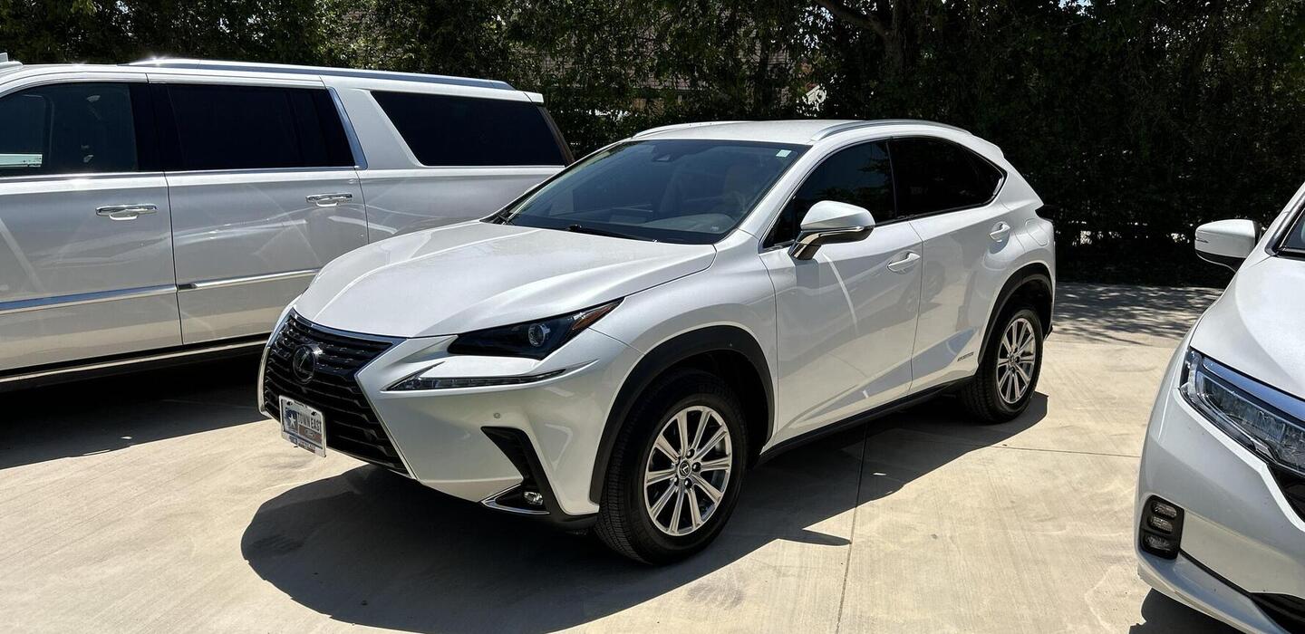 Lexus NX 300h 2020 • TFC7884