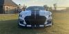 mustang2.1440x700.jpg